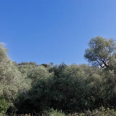 087 - Casa Baite Tra Ulivi E Mare Con Giardino E Vista Mare, 6minuti - Parcheggio Privato Gratis * Imperia
