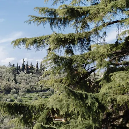 Apartment 087 - Casa Baite Tra Ulivi E Mare Con Giardino E Vista Mare, 6minuti - Parcheggio Privato Gratis